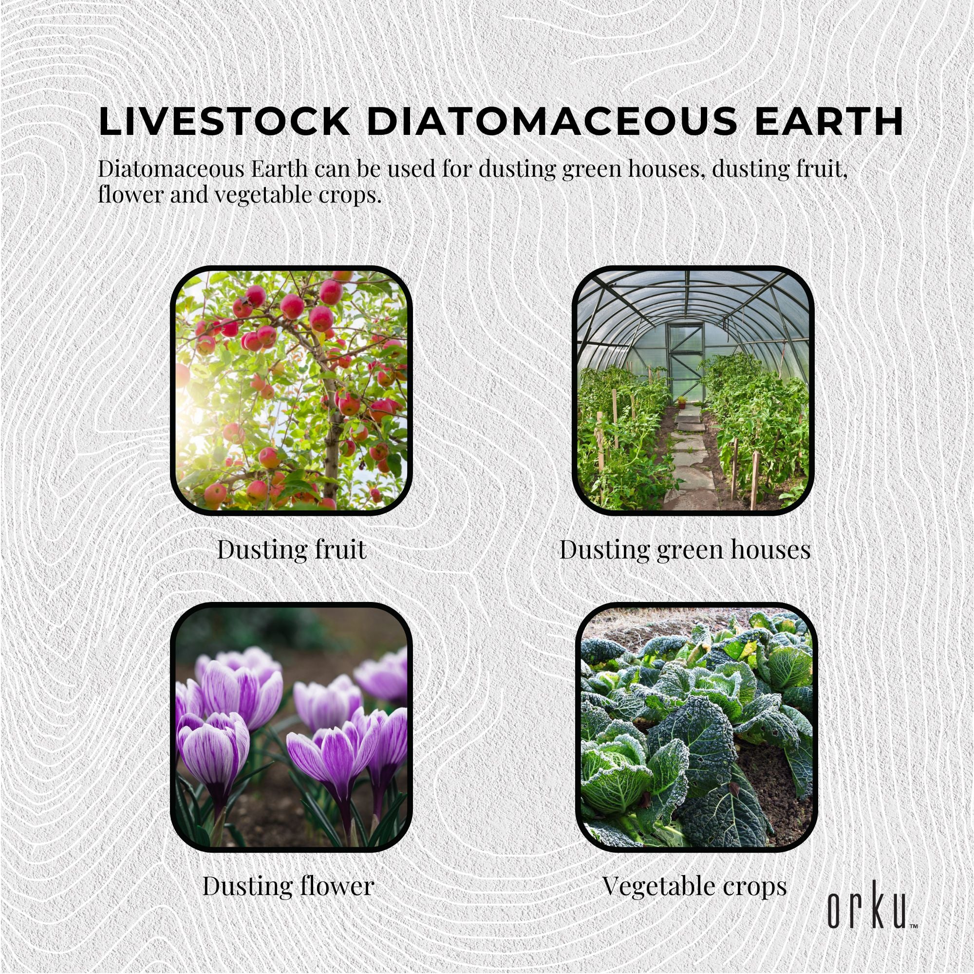 Bulk 10Kg Organic Fossil Shell Flour - Livestock Garden Grade Diatomaceous Earth