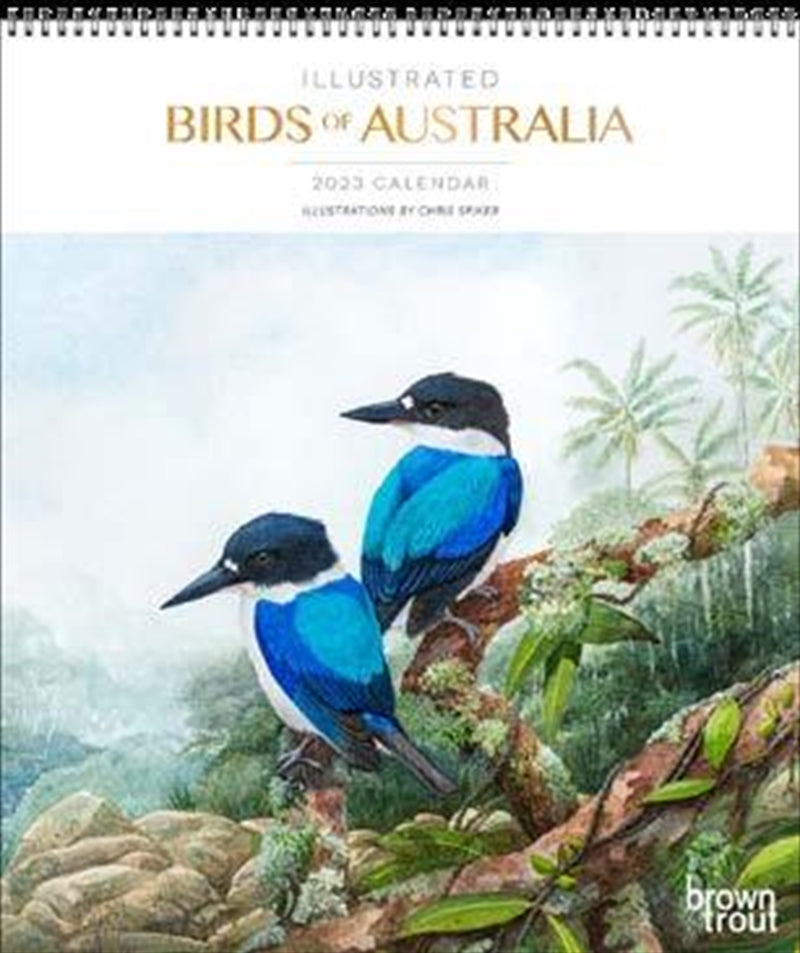 Illustrated Birds Of Australia Calendar 2023