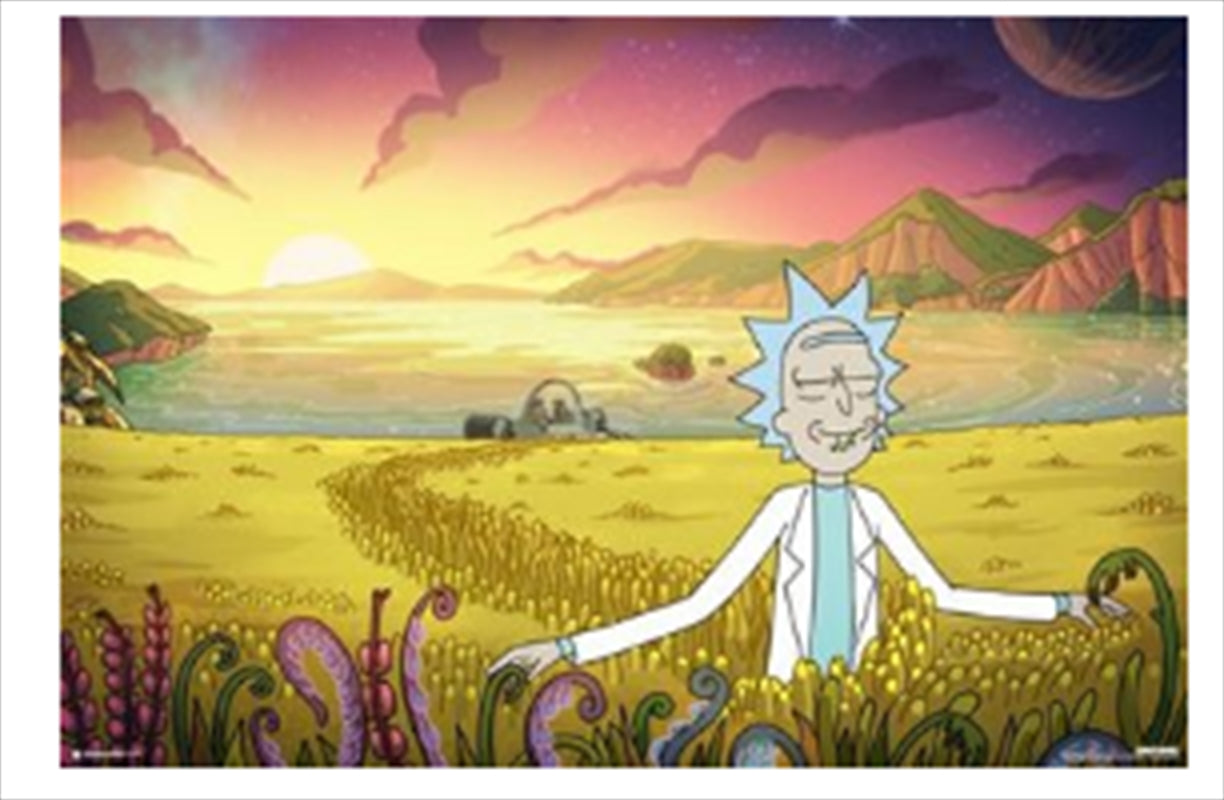 Rick And Morty Freedom