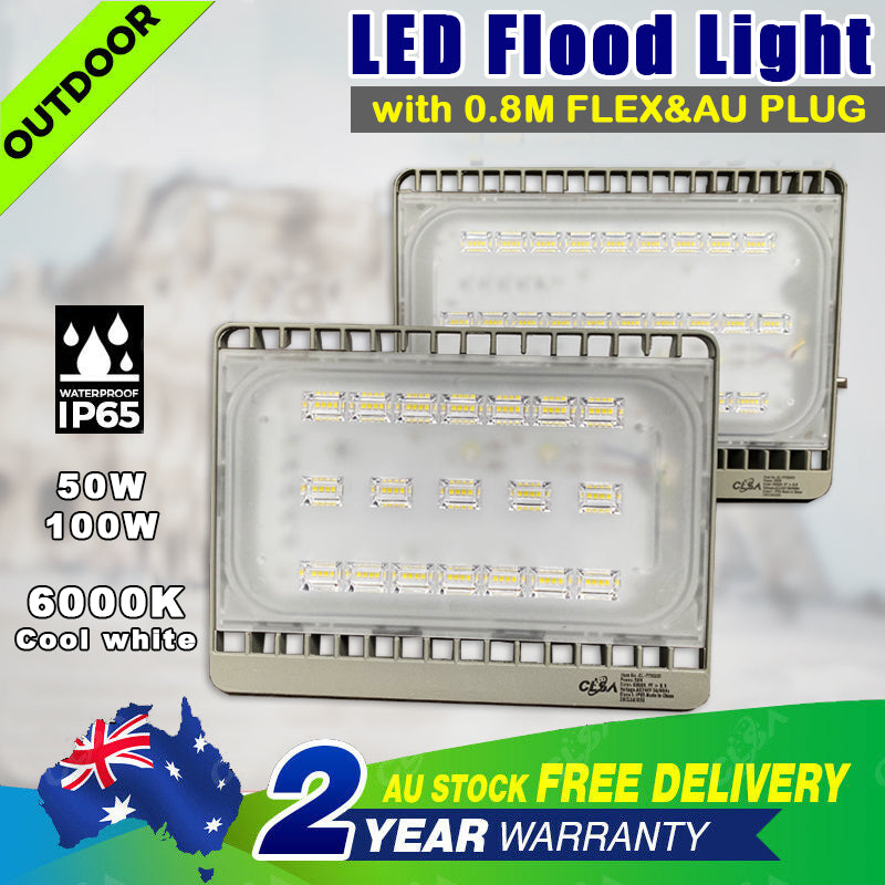 2 x 100W Led Flood Light IP65 AU Plug