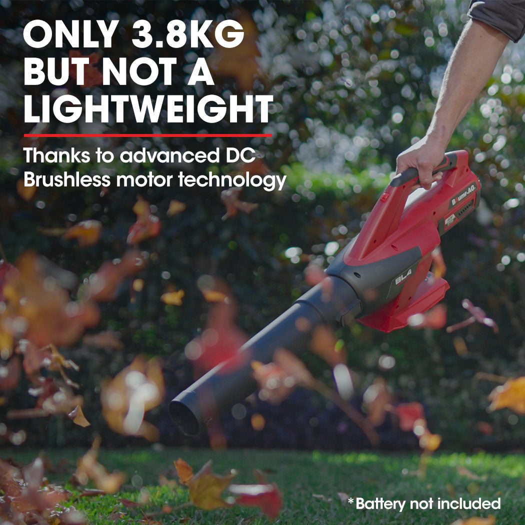 Baumr-AG 40V Cordless Electric Leaf Blower (Skin Only)