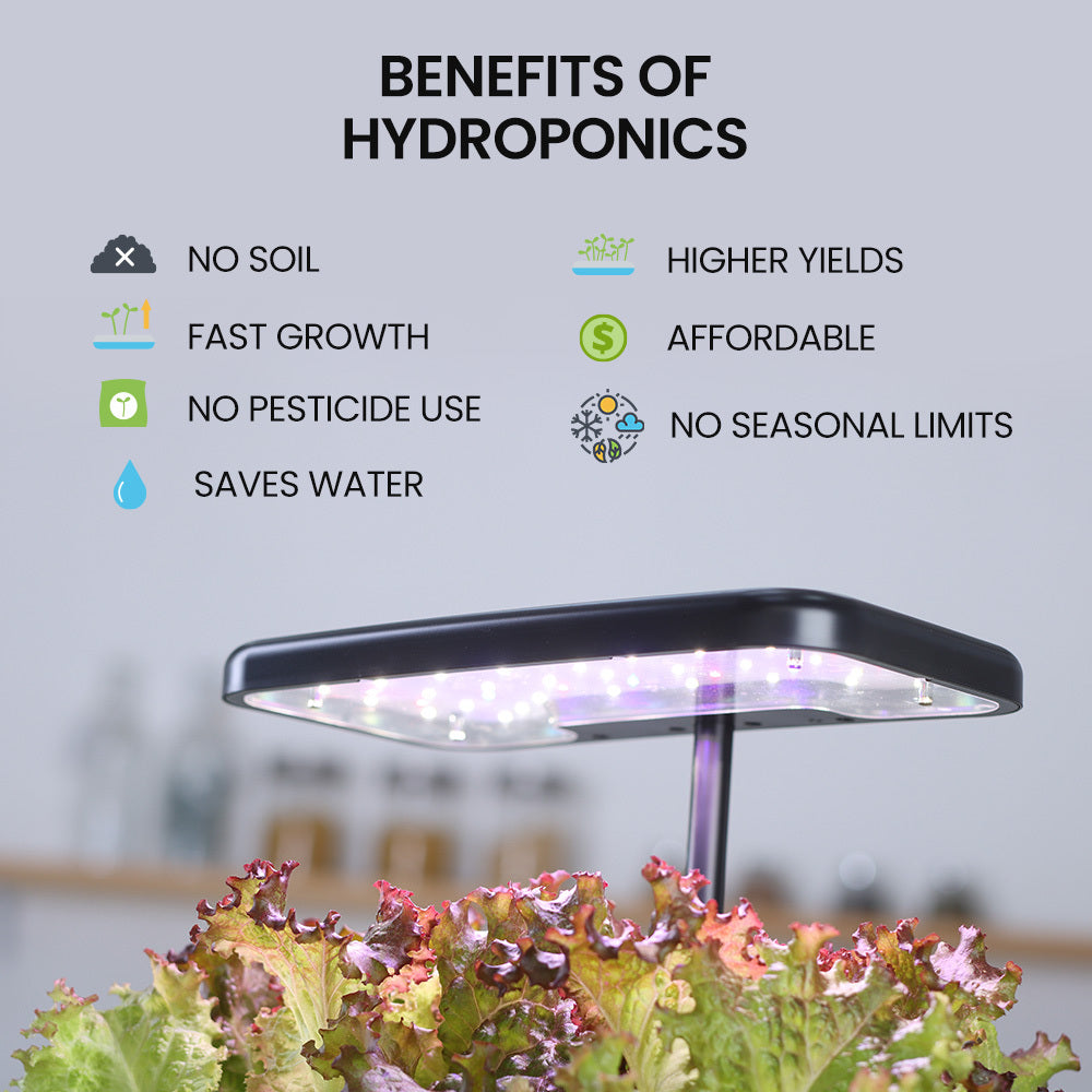 PLANTCRAFT 8 Pod Indoor Hydroponic Growing System, with Water Level Window & Pump, Black