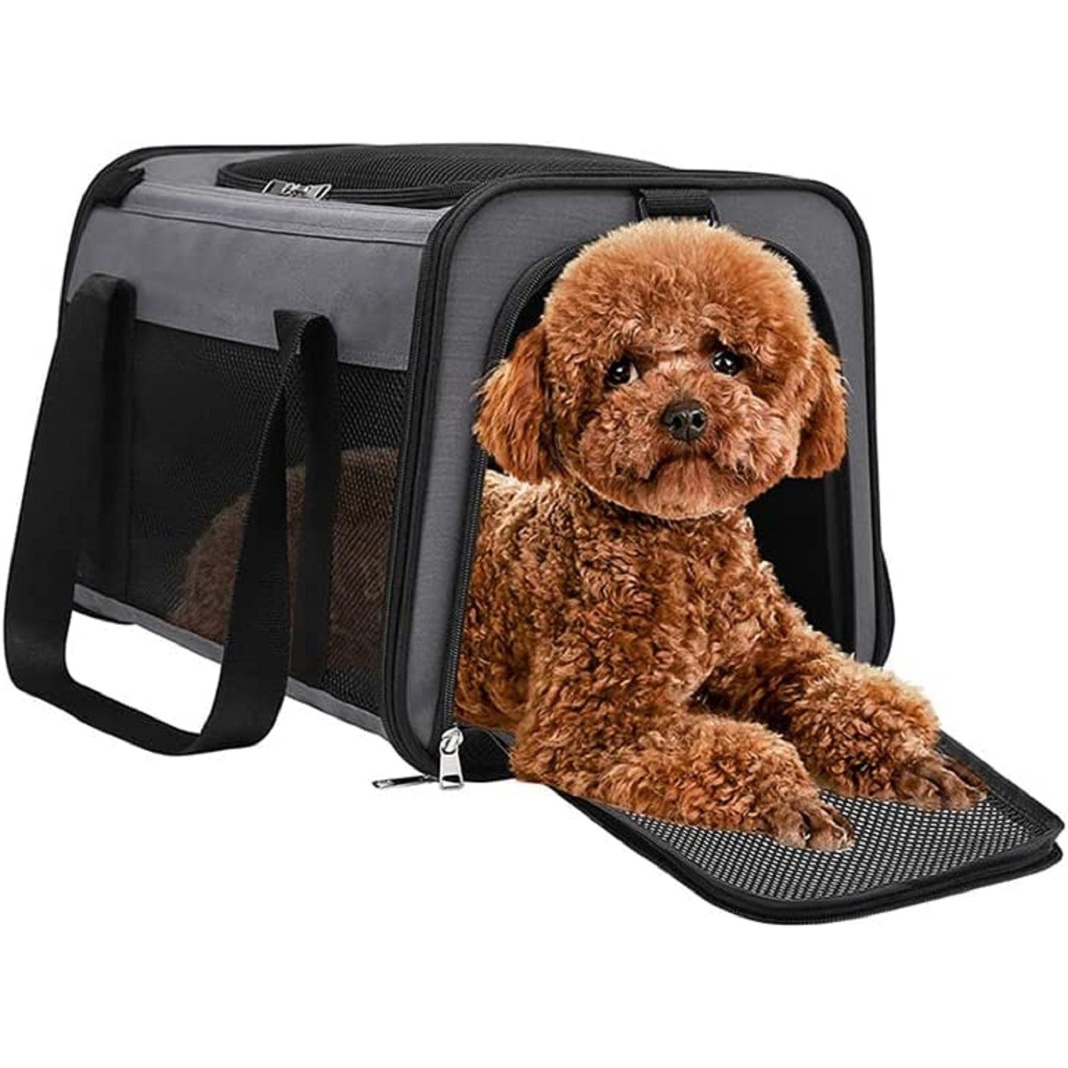 Floofi Portable Pet Carrier-L Size (Grey) FI-PC-138-FCQ