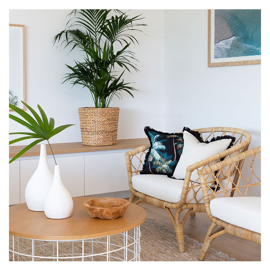 Cushion Cover-Coastal Fringe Black-Palm Trees Black-45cm x 45cm