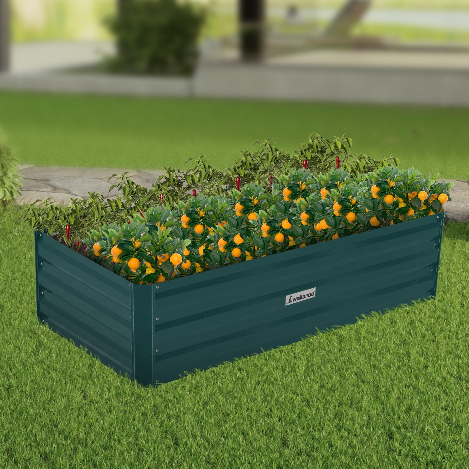 Wallaroo Garden Bed 120 x 60 x 30cm Galvanized Steel - Green