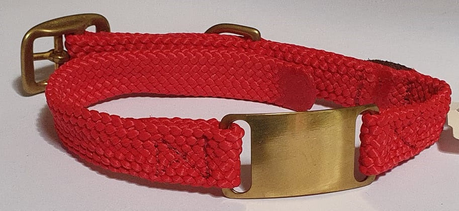 Mendota Products - ID Junior Dog Collar with Brass Tag - SIZES: 35CM,  - Made in the USA - Red