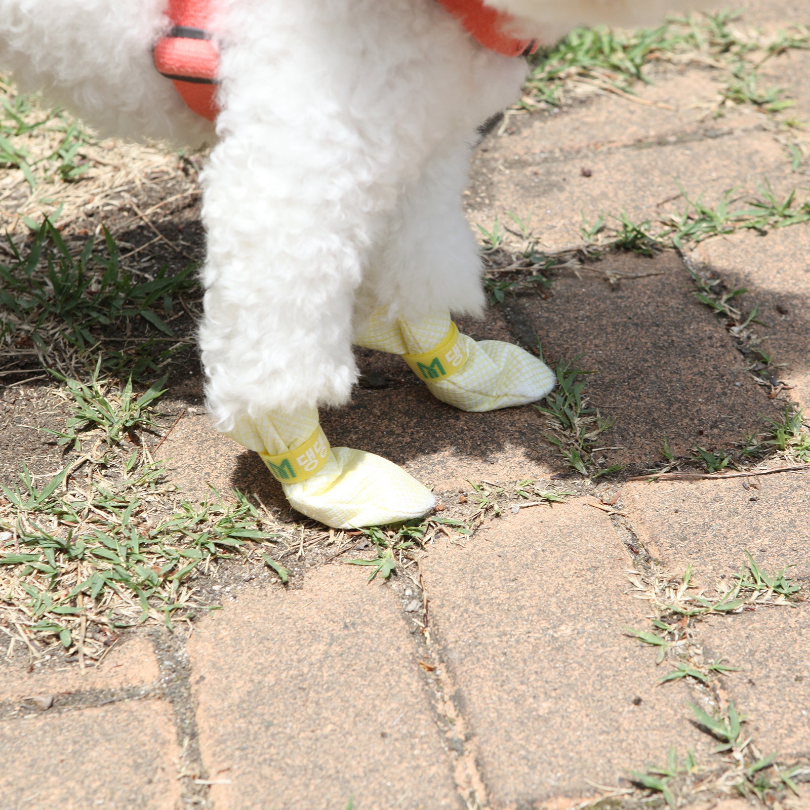 Daeng Daeng Shoes 28pc S Yellow Dog Shoes Waterproof Disposable Boots Anti-Slip Socks