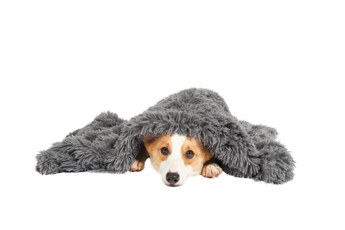 YES4PETS Pet Blanket Dog Cat Rug Puppy Kitten Calming Plush Soft Warmth Fleece 75X100 cm