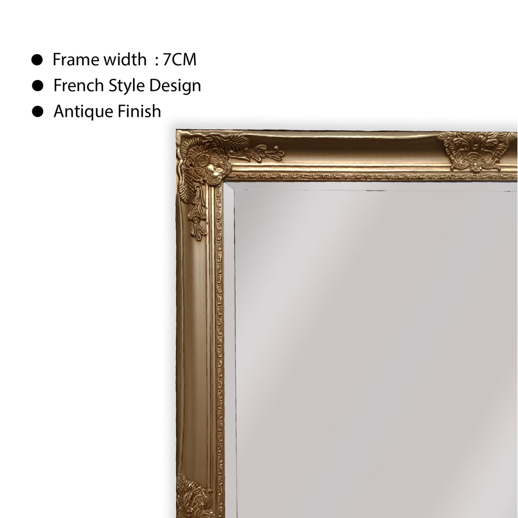 French Provincial Ornate Mirror - Champagne - Medium 70cm x 170cm