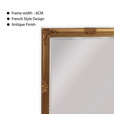 French Provincial Ornate Mirror - Gold - Free Standing 50cm x 170cm