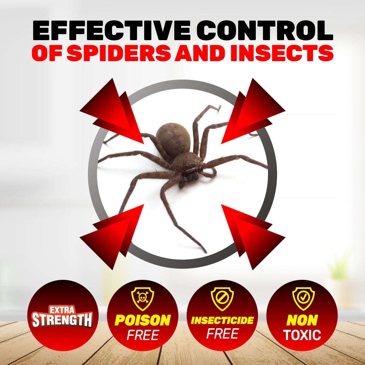 SAS Pest Control 72PCE Spider Traps Disposable Non-Toxic 70mm x 205mm