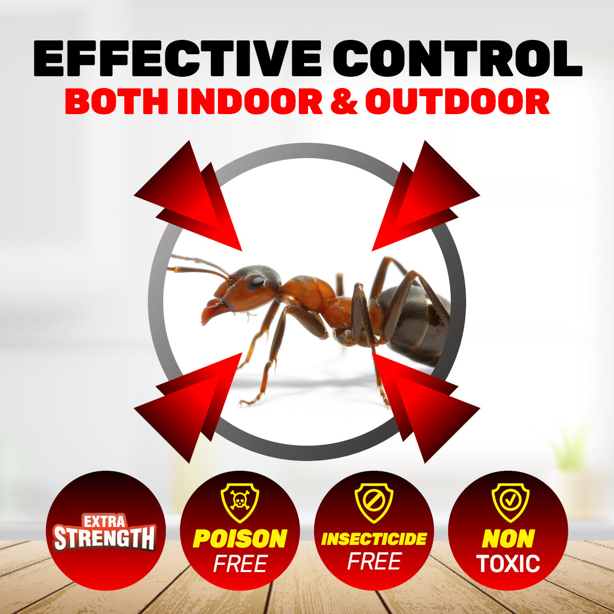 SAS Pest Control 192PCE Ant Traps Fast Acting Indoor/Outdoor Disposable