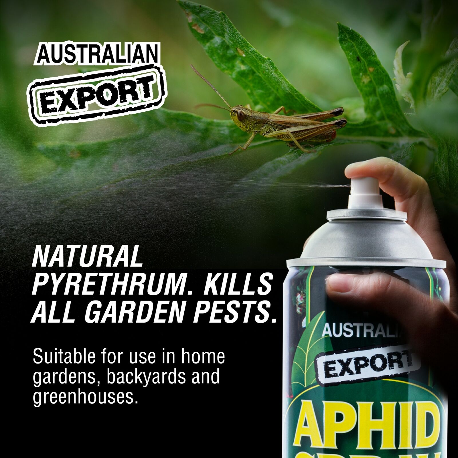 Australian Export 12PCE Pyrethrum Aphid Insect Spray All Natural Garden 400gm