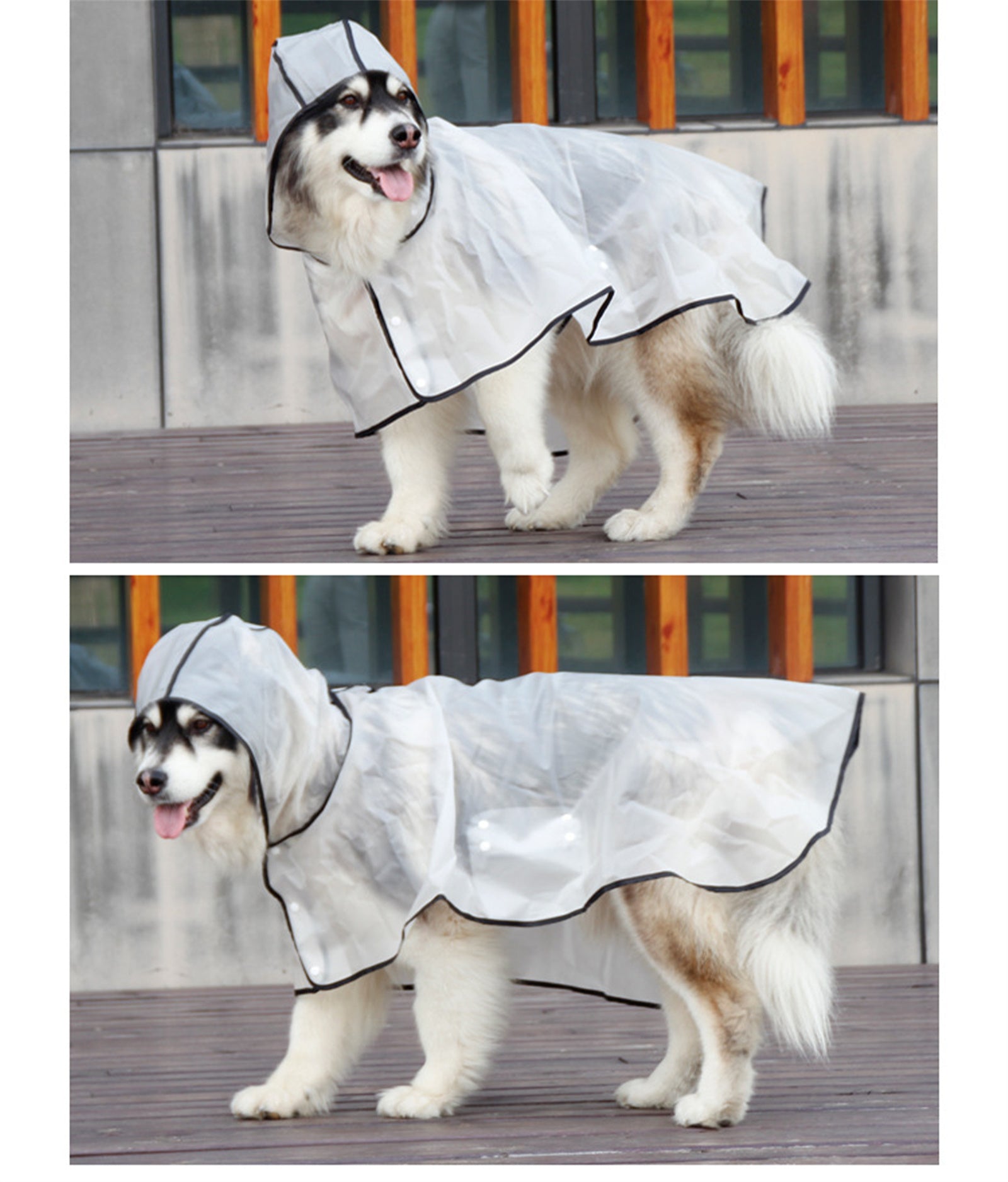 Pawfriends TPU Transparent Pet Cape Raincoat Large Dog Teddy Fadou Koki Dog Clothing