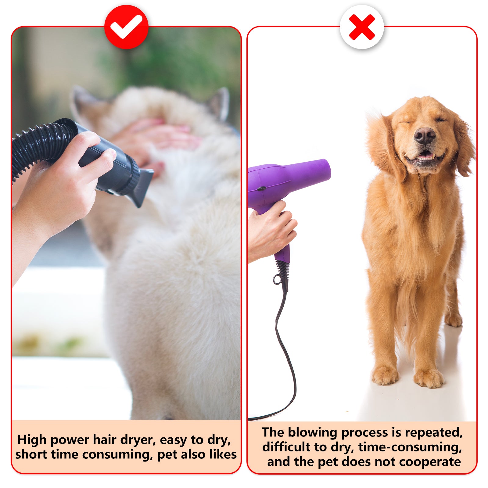 Pawfriends Dog Cat Hair Dryer Grooming Blow Speed 2000W Pet Hairdryer Blower Heater Blaster