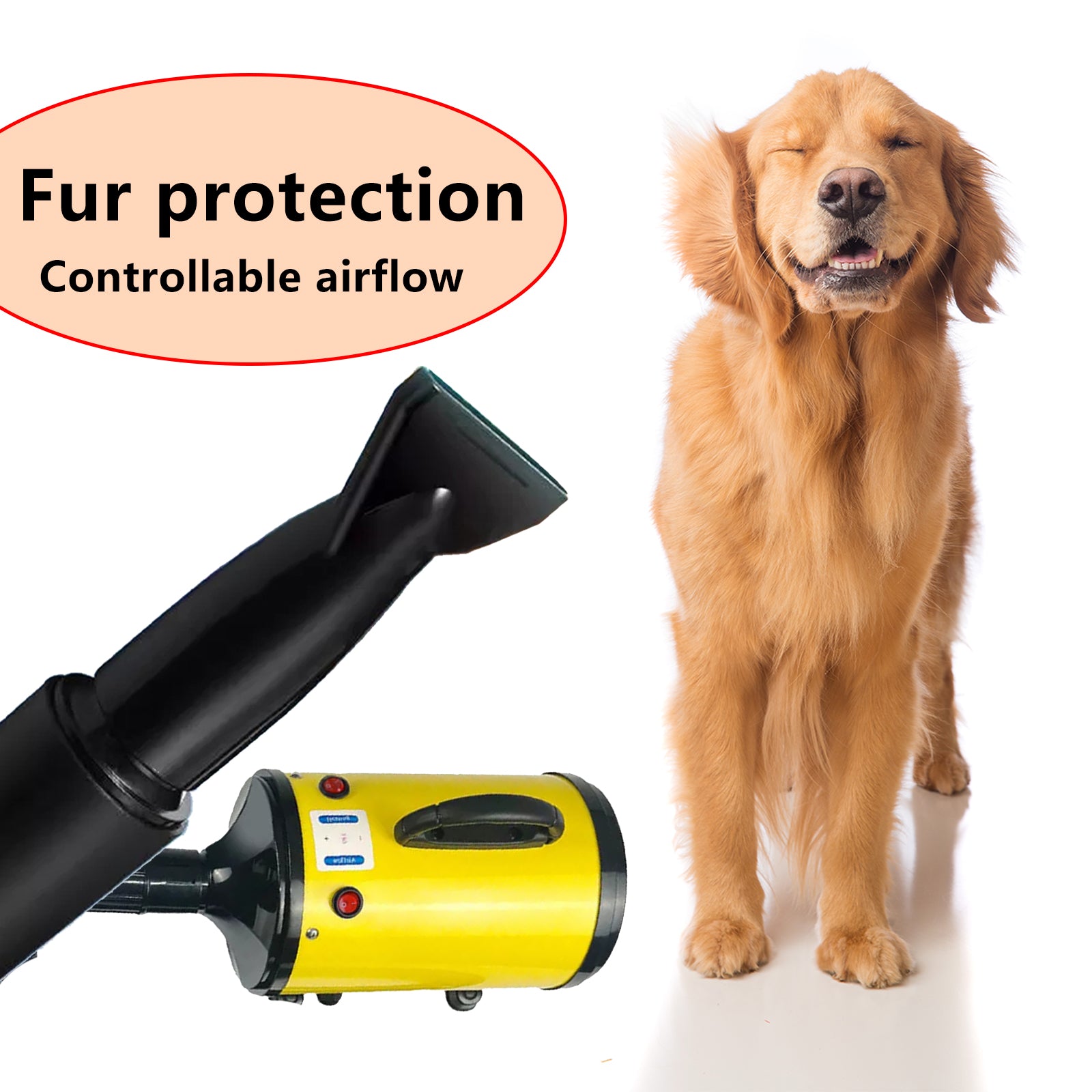 Pawfriends Dog Cat Hair Dryer Grooming Blow Speed 2000W Pet Hairdryer Blower Heater Blaster