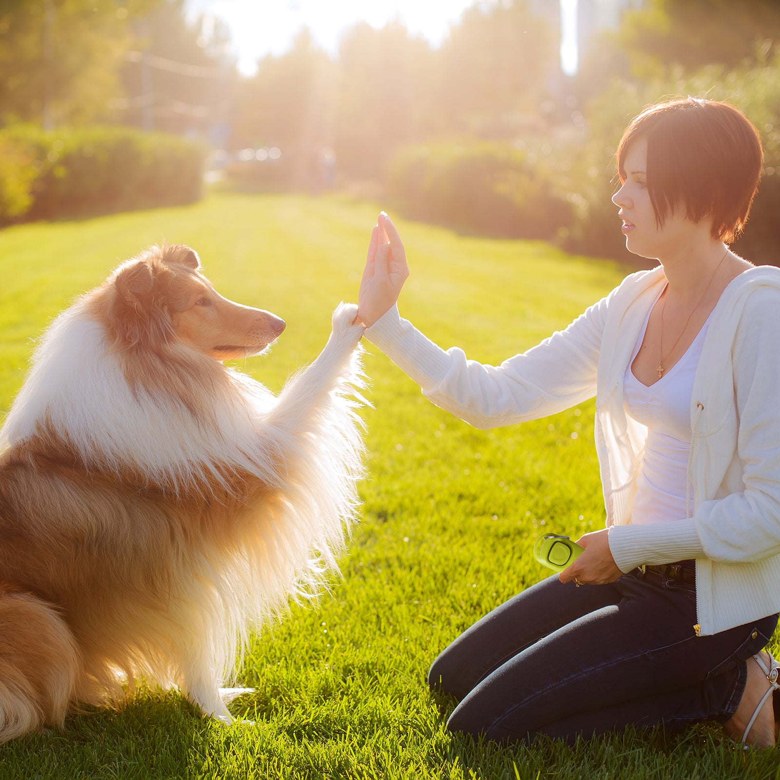 Pawfriends Puppy Dog Training Whistle Clicker Stop Barking Pet Combo Obedience Train Skills