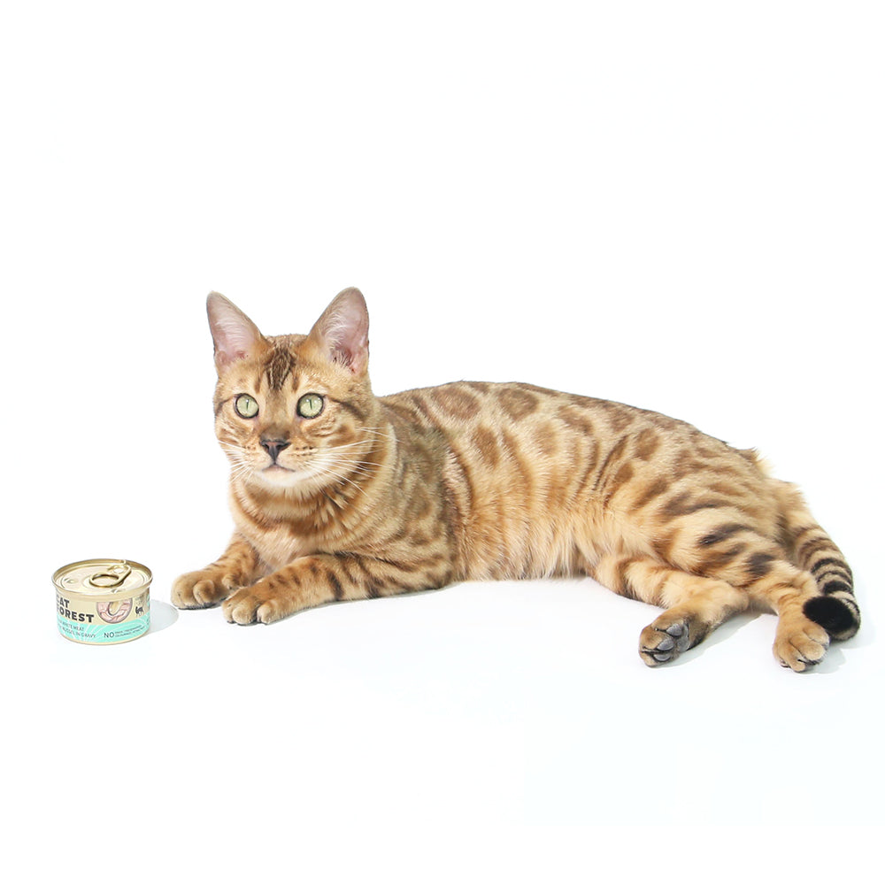 CAT FOREST Premium Tuna White Meat With Mussel In Gravy Cat Canned Food 85G X 24