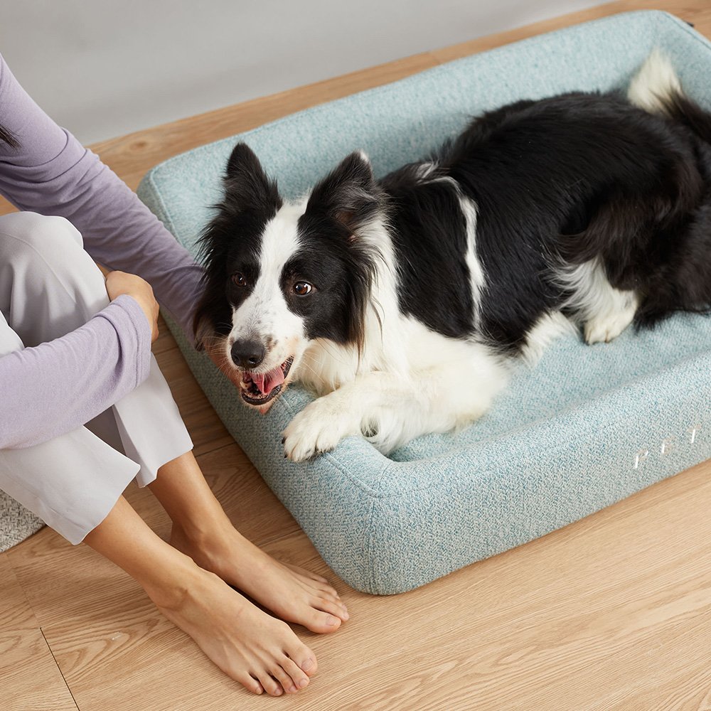 PETKIT Four Season Sleep Bed - L