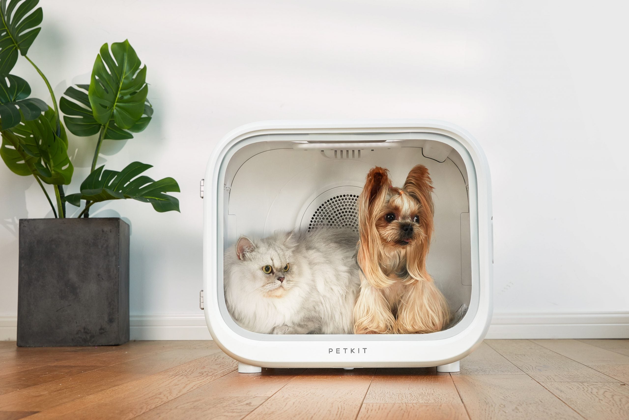 PETKIT AIRSALON Smart Pet Dryer Box