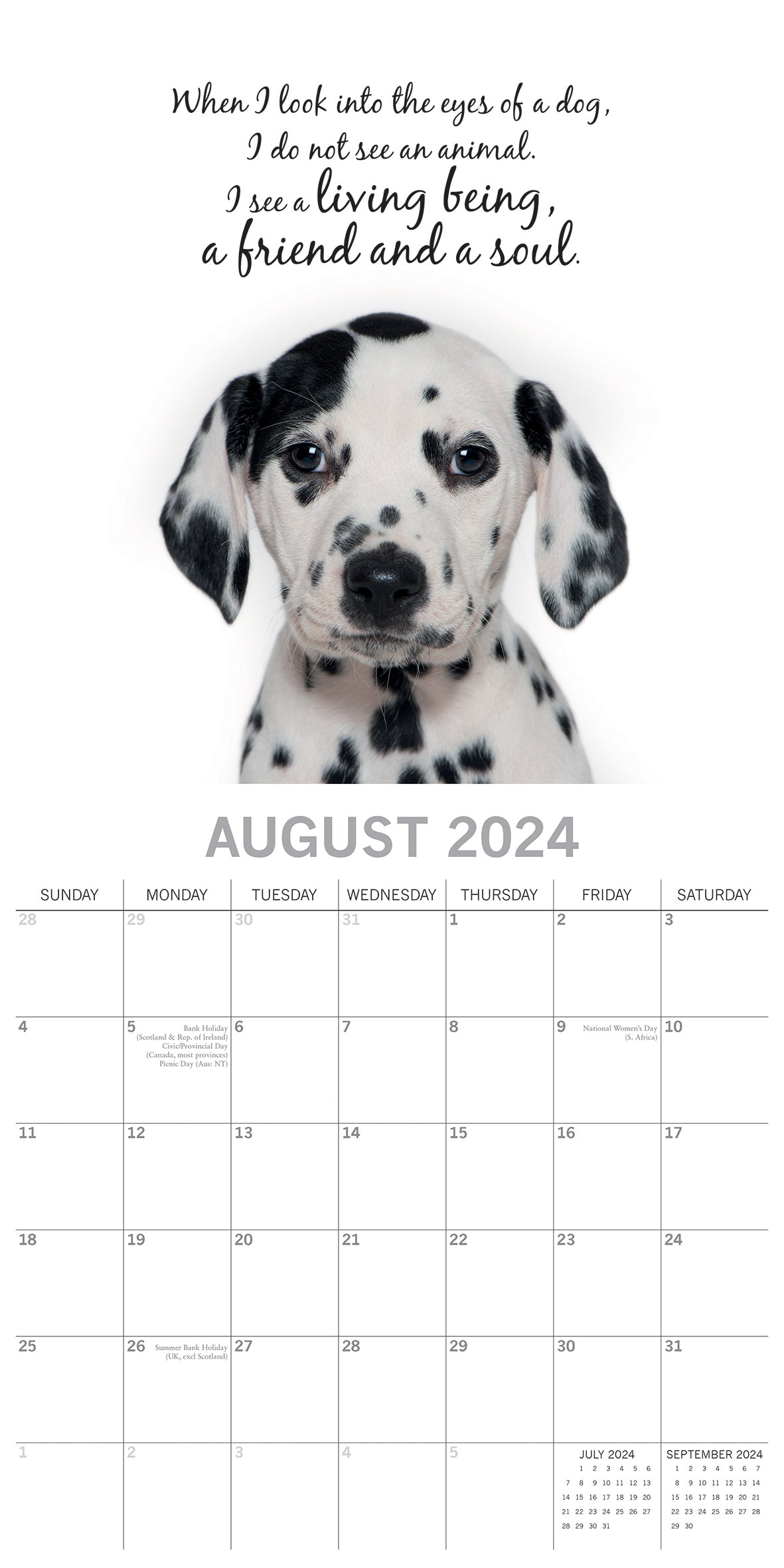 Adorable Dogs - 2024 Square Wall Calendar Pets Animals 16 Months Premium Planner