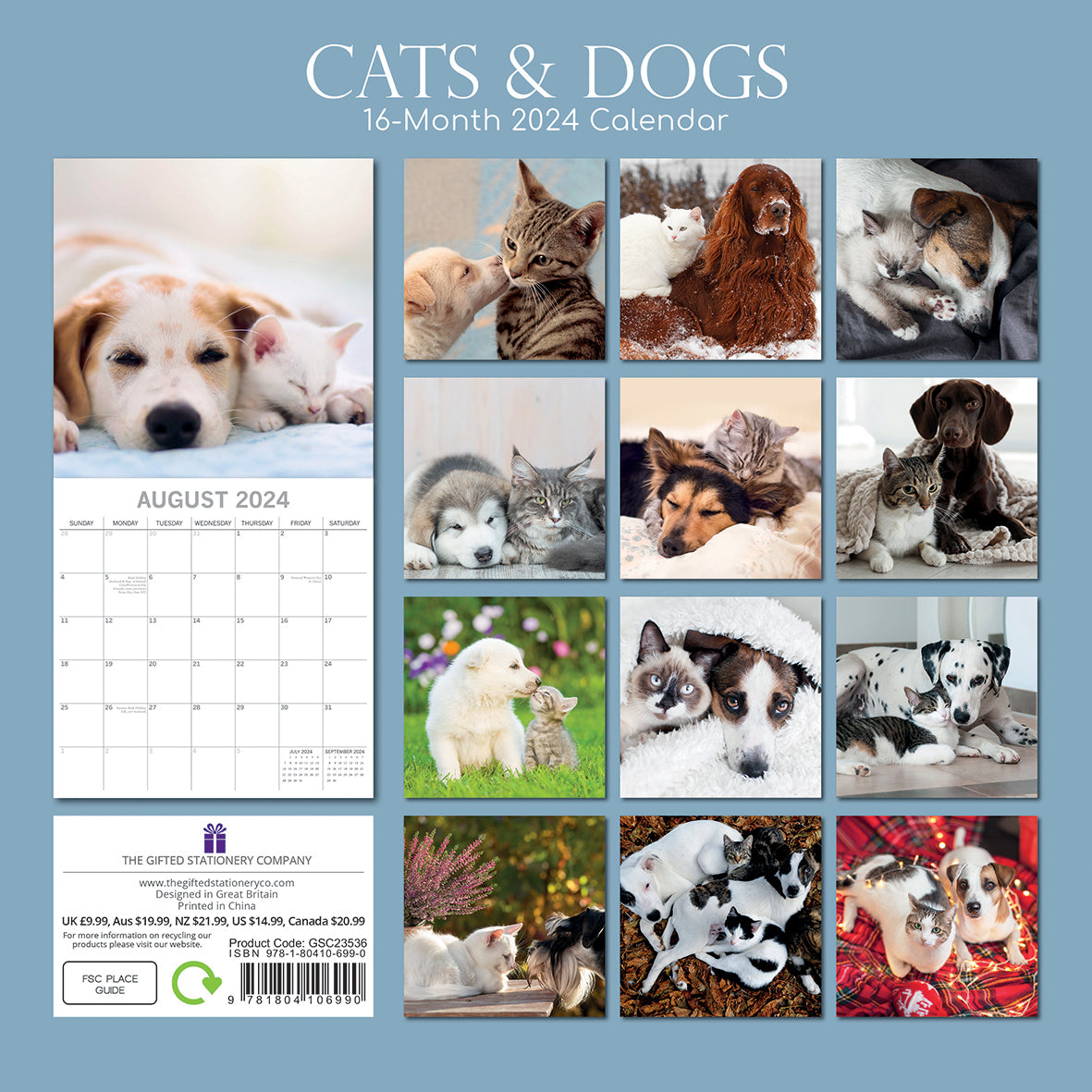 Cats & Dogs - 2024 Square Wall Calendar Pets Animals 16 Months Premium Planner