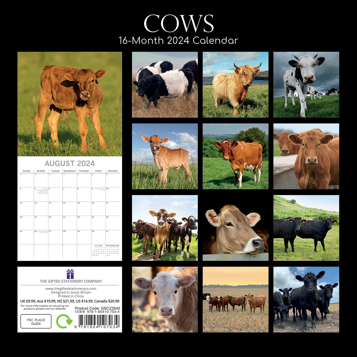 Cows - 2024 Square Wall Calendar Pets Animals 16 Months Premium Planner New Year