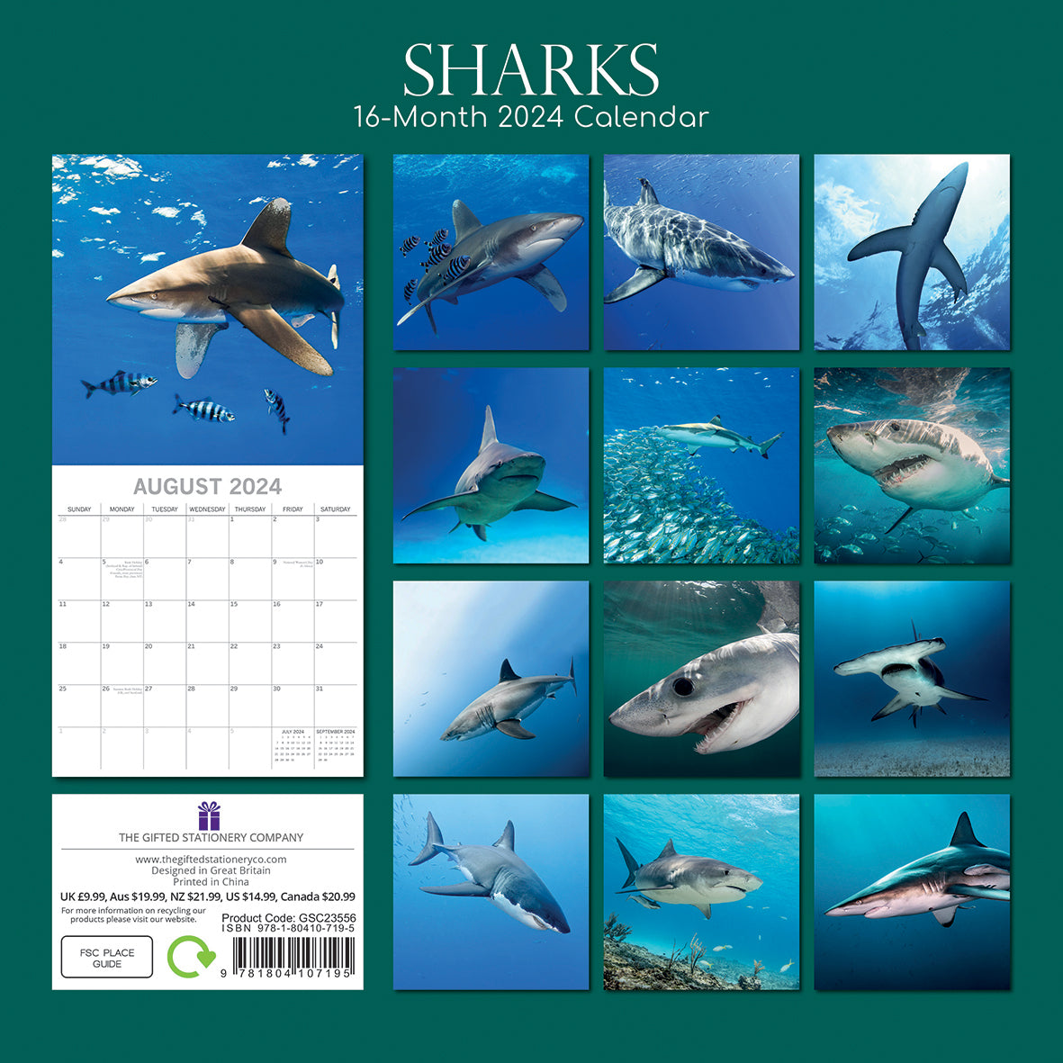 Sharks 2024 Square Wall Calendar Pets Animals 16Month New Year Christmas Planner