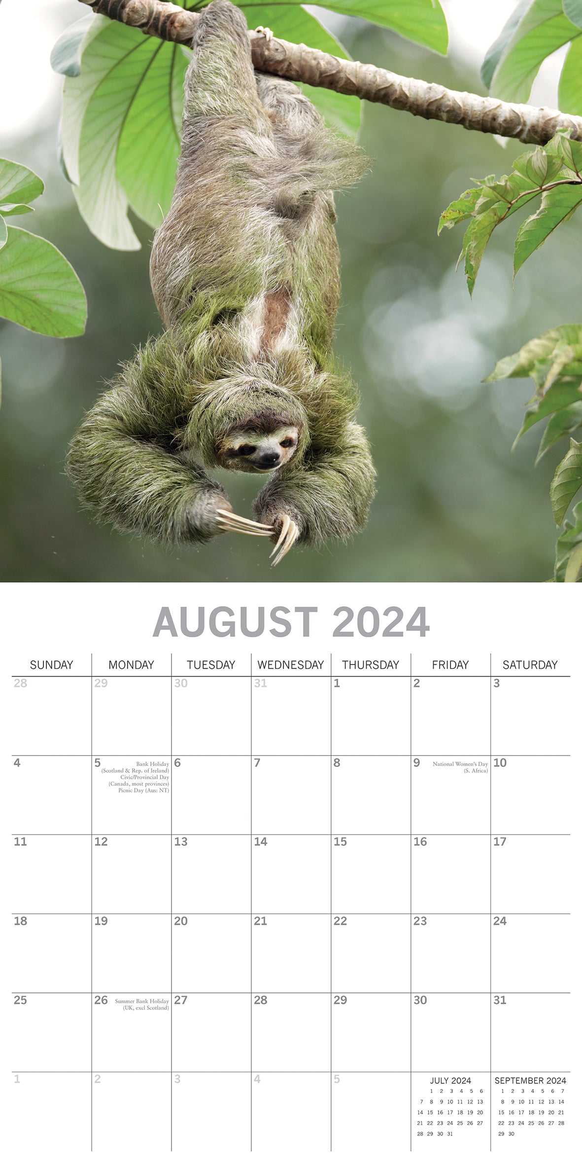 Sloths - 2024 Square Wall Calendar Pets Animals 16 Months New Year Gift Planner