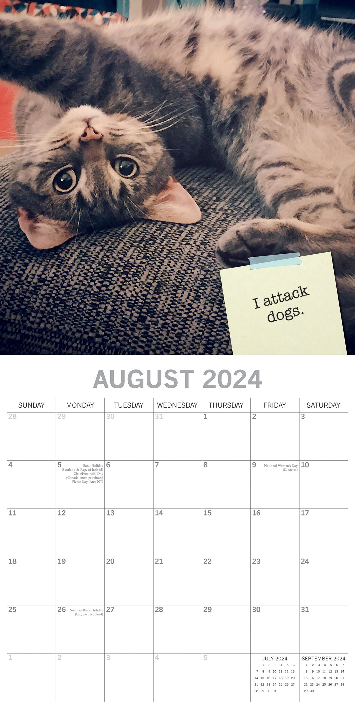 Cat Shaming - 2024 Square Wall Calendar Pets Animals 16 Months Premium Planner