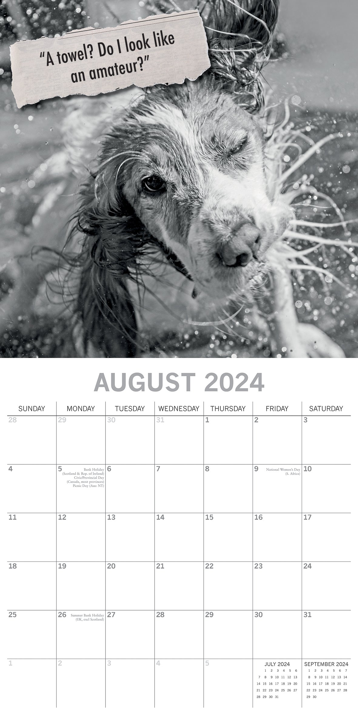 Mutts - 2024 Square Wall Calendar Pets Animals 16 Month Premium Planner New Year