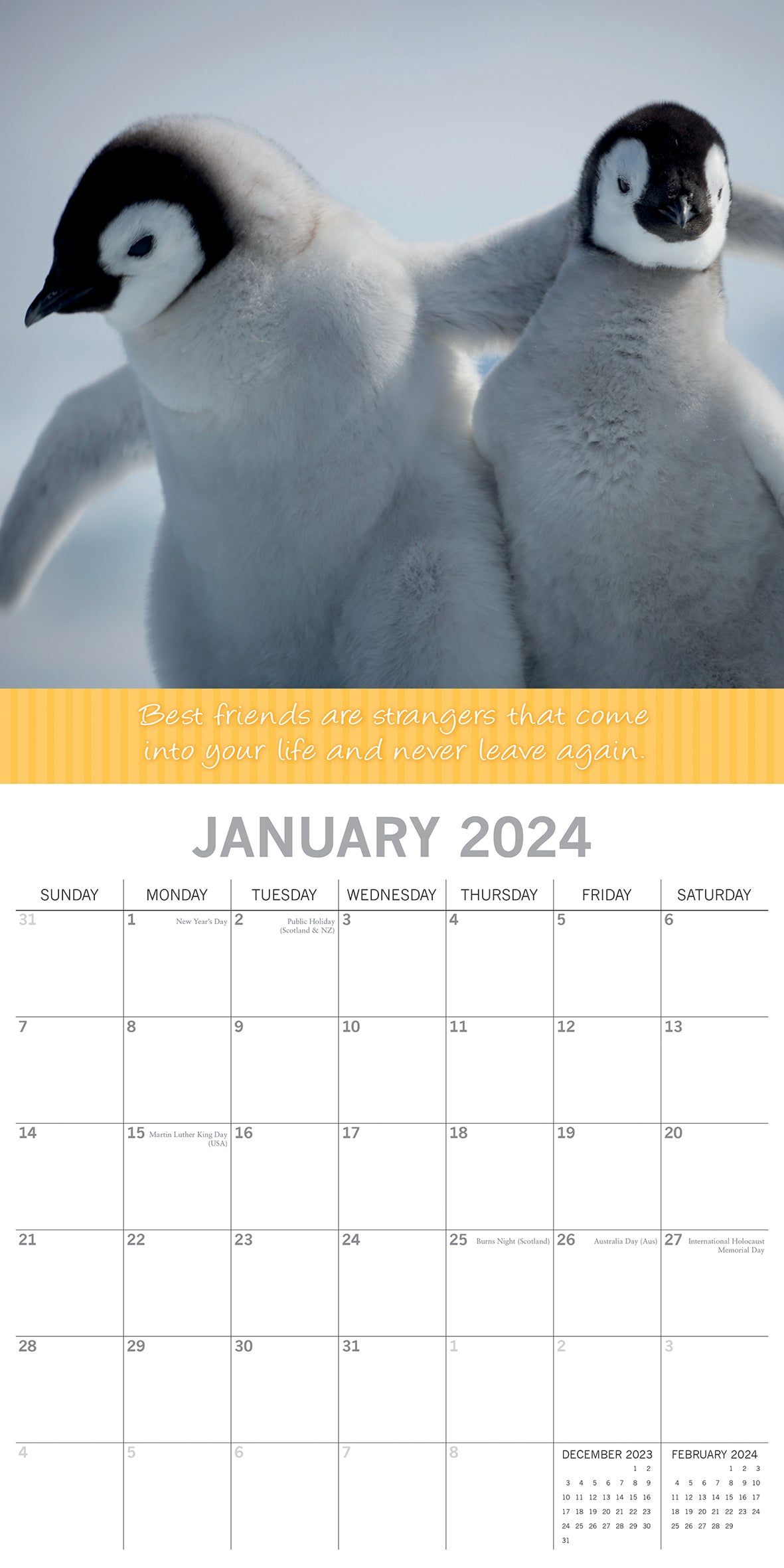 Best Friends - 2024 Square Wall Calendar Pets Animals 16 Months Premium Planner