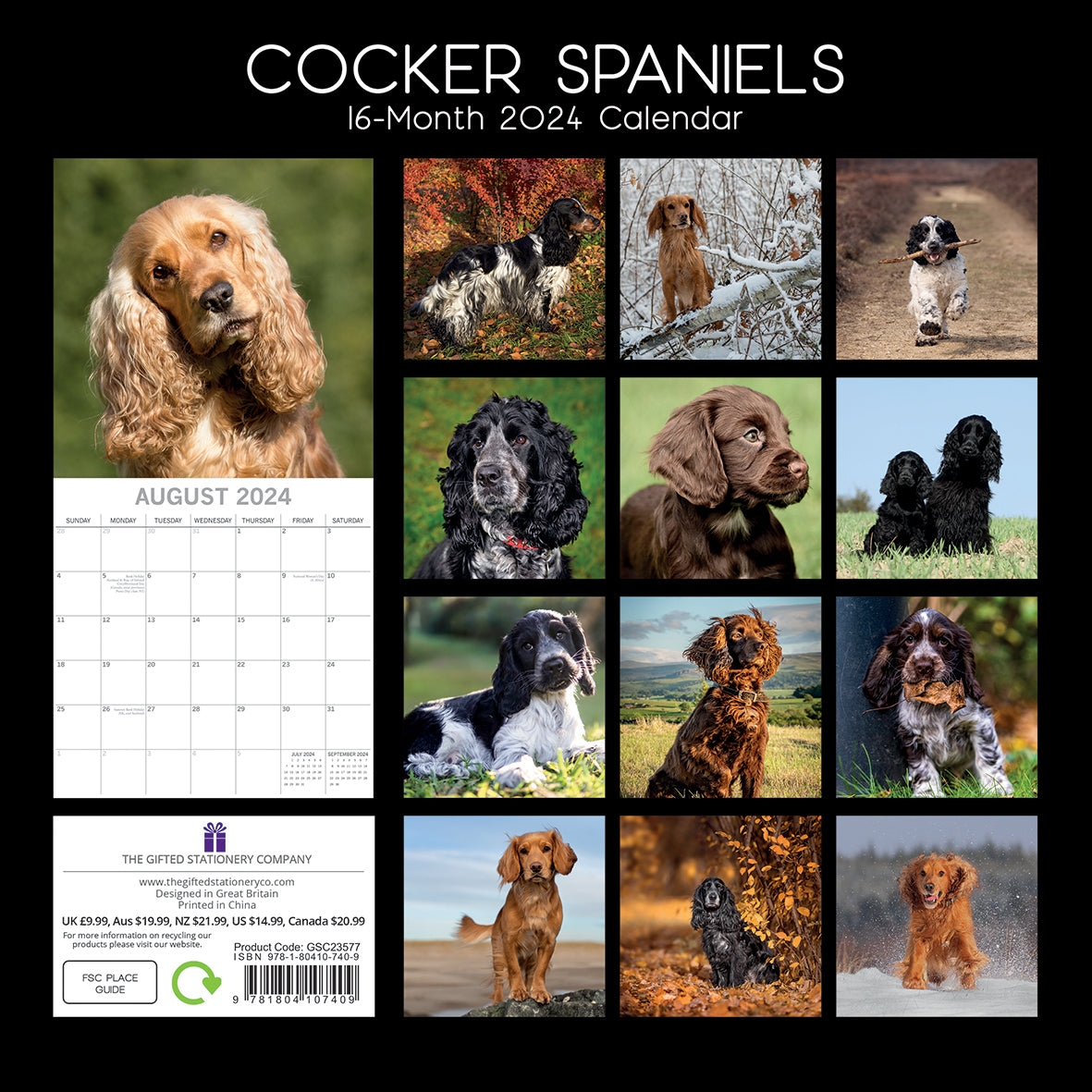Cocker Spaniels - 2024 Square Wall Calendar Pets Dog 16 Months Premium Planner