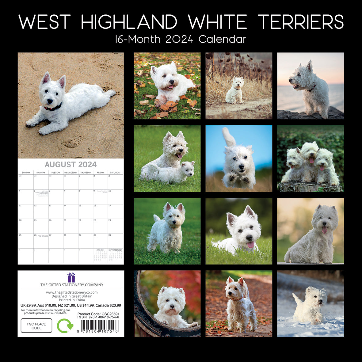West Highland White Terriers 2024 Square Wall Calendar Pets Dog 16 Month Planner
