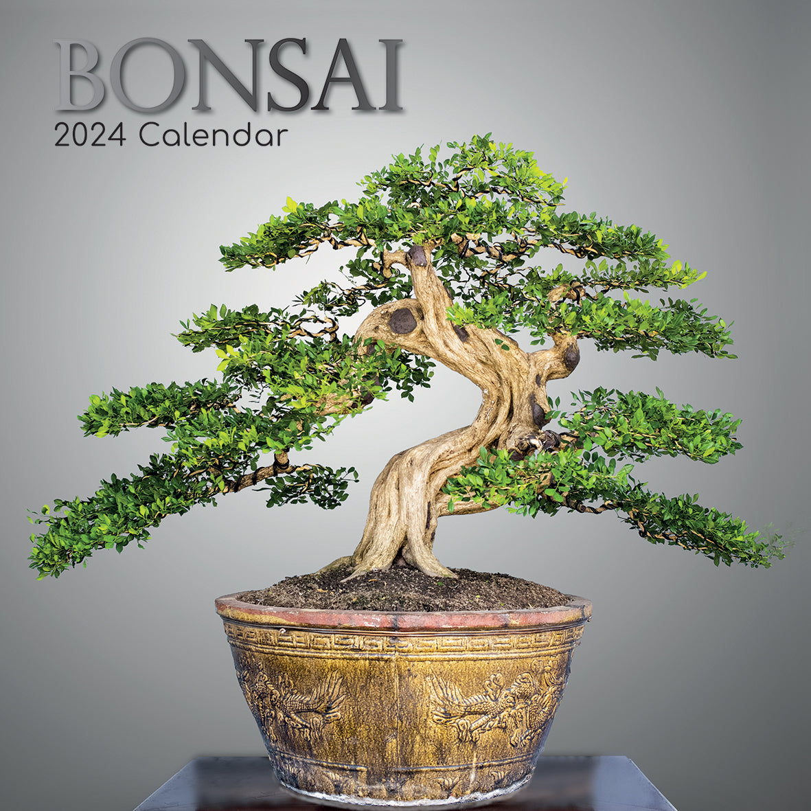 Bonsai 2024 Square Wall Calendar 16 Month Floral Planner Christmas New Year Gift