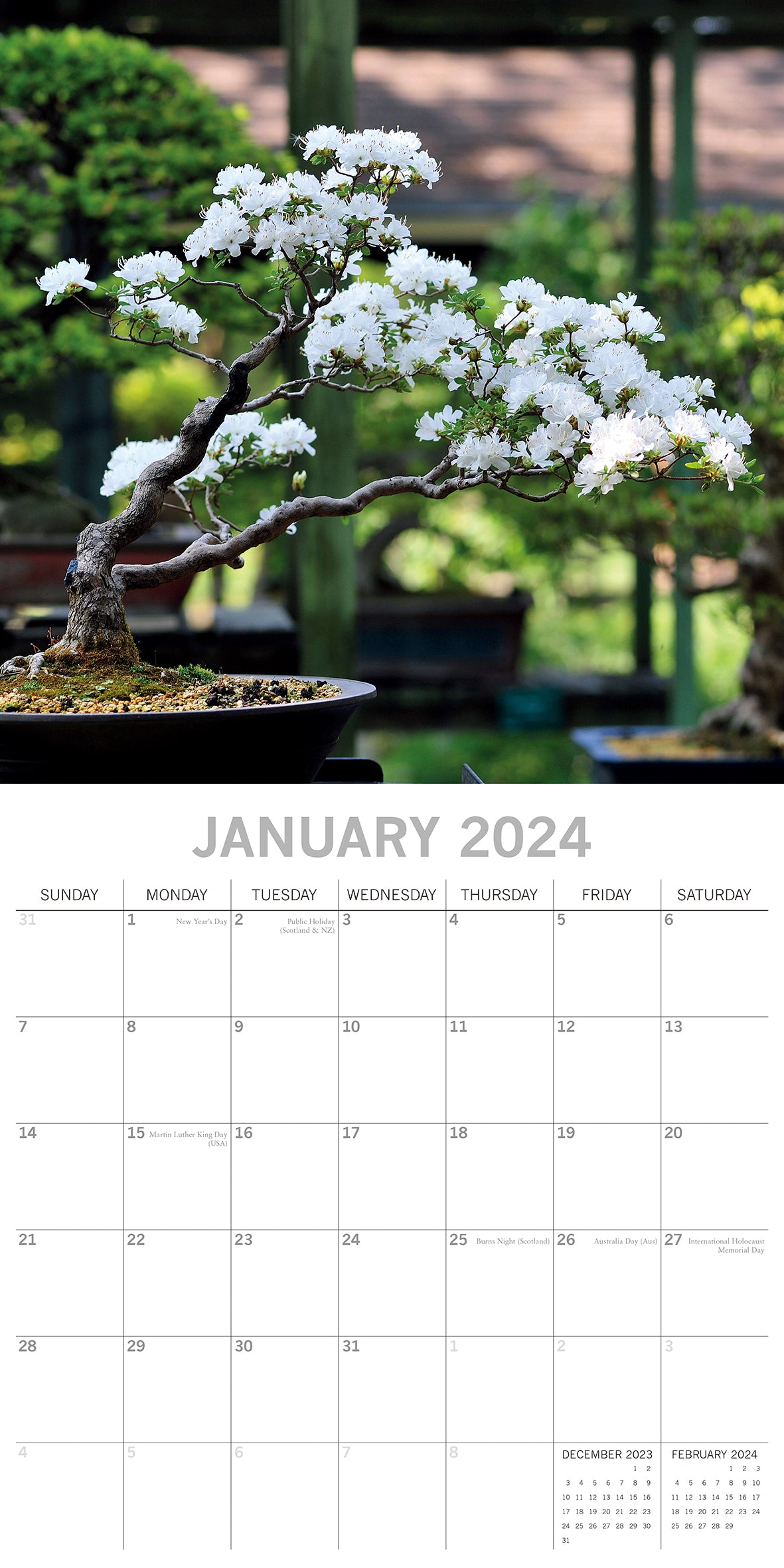 Bonsai 2024 Square Wall Calendar 16 Month Floral Planner Christmas New Year Gift