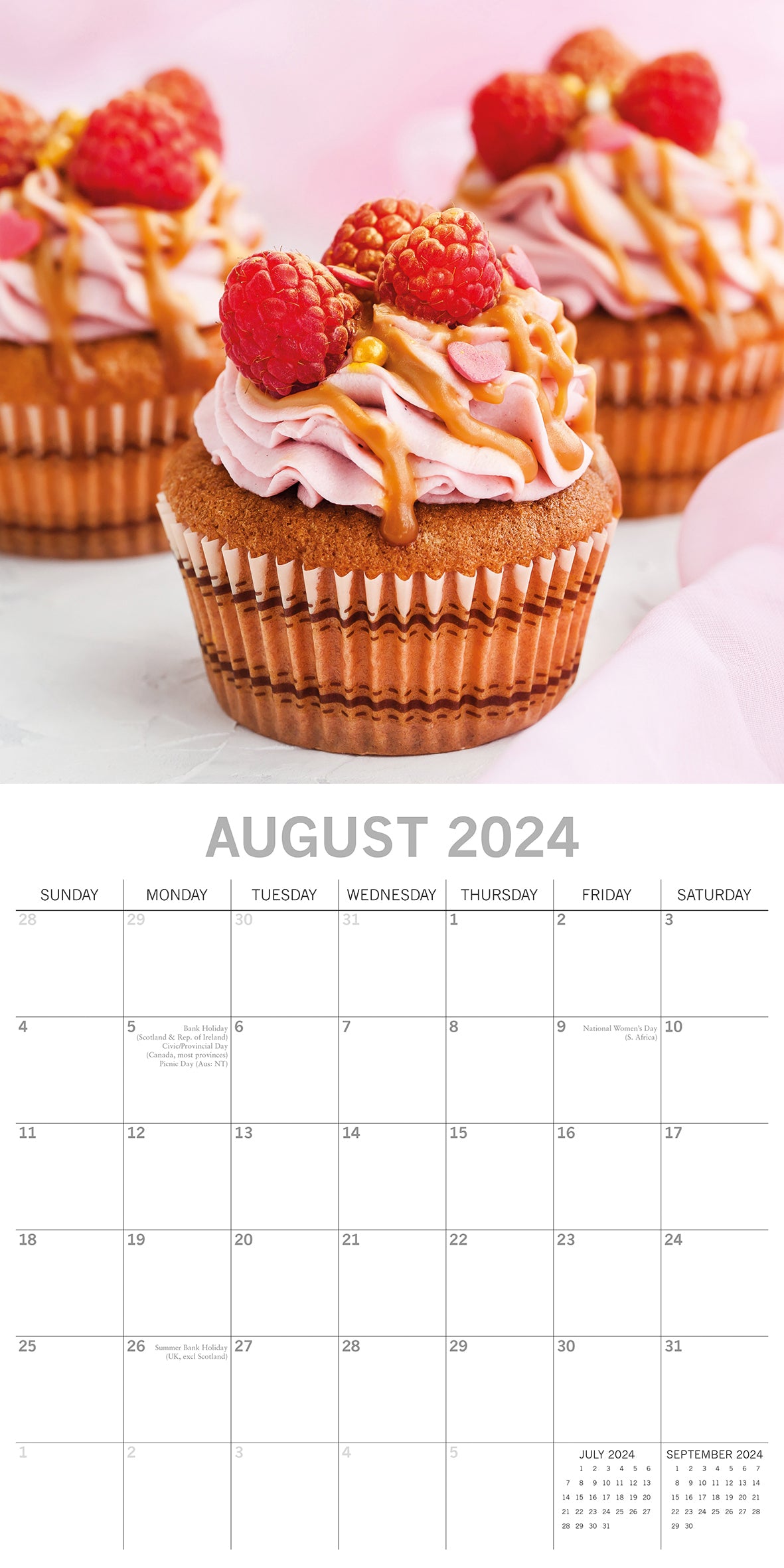 Cupcakes 2024 Square Wall Calendar 16 Month Food Planner Christmas New Year Gift