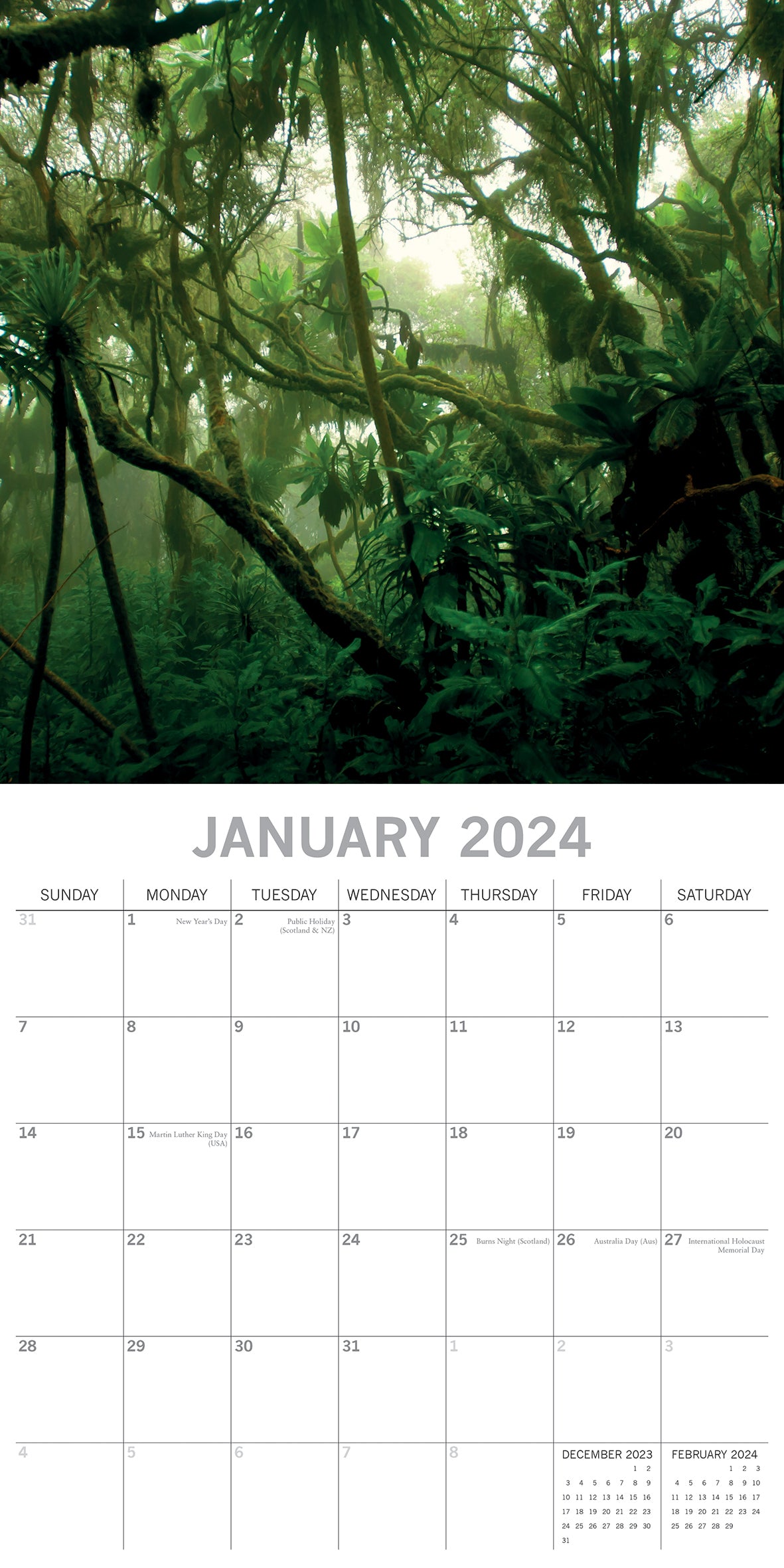 Jungles - 2024 Square Wall Calendar 16 Months Premium Planner Xmas New Year Gift