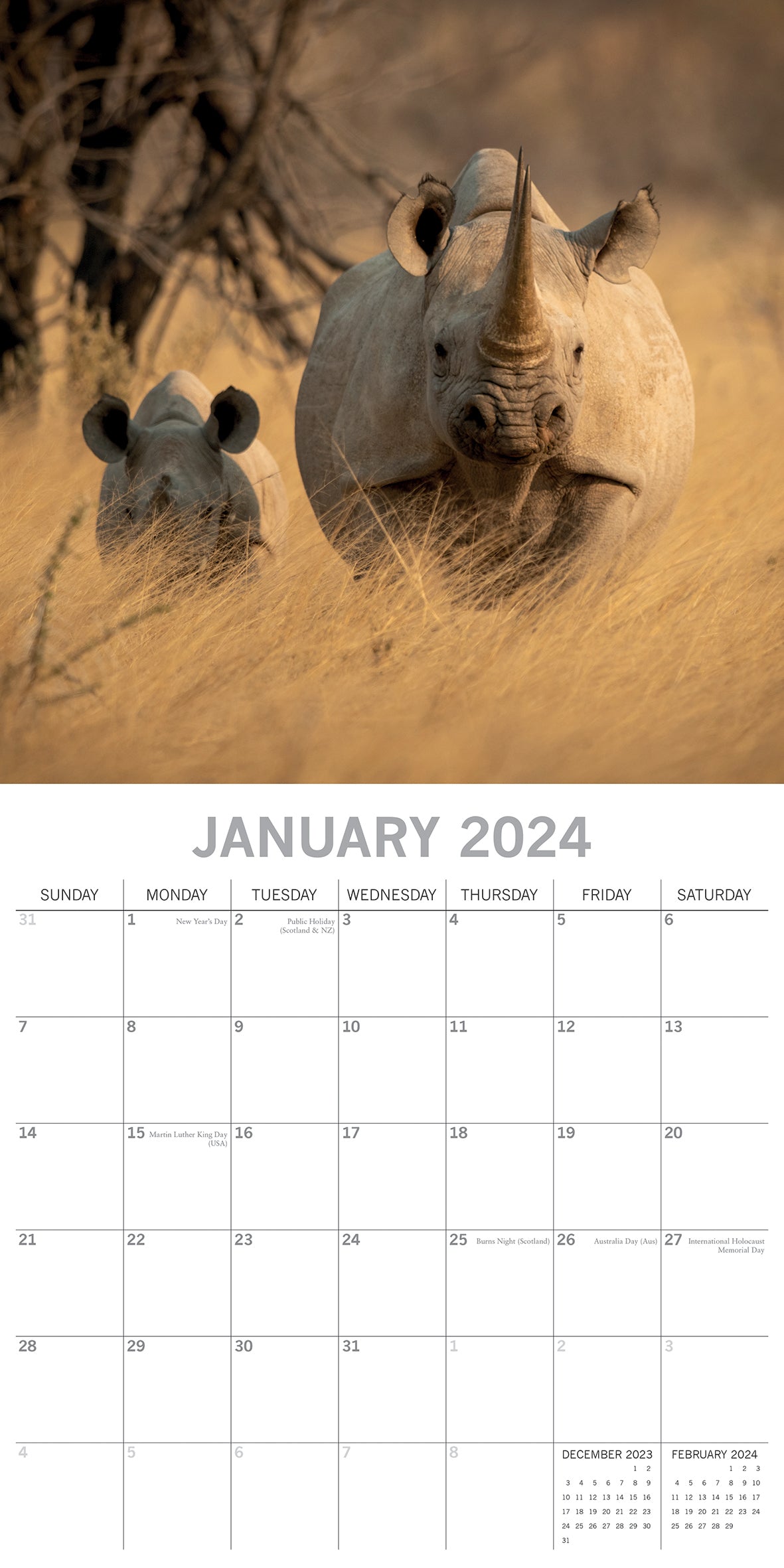 Safari 2024 Square Wall Calendar 16Month Premium Planner Christmas New Year Gift