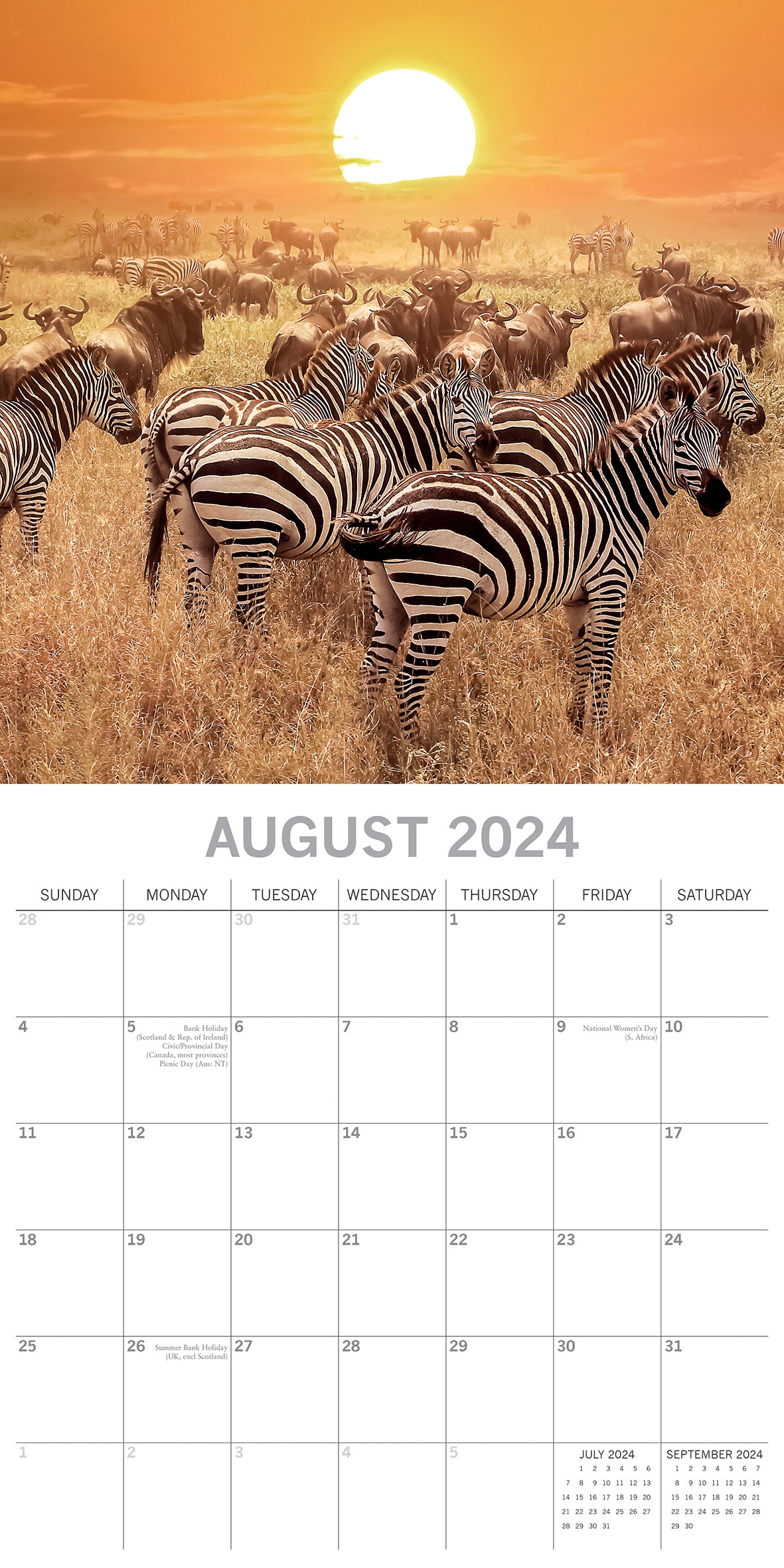 Safari 2024 Square Wall Calendar 16Month Premium Planner Christmas New Year Gift