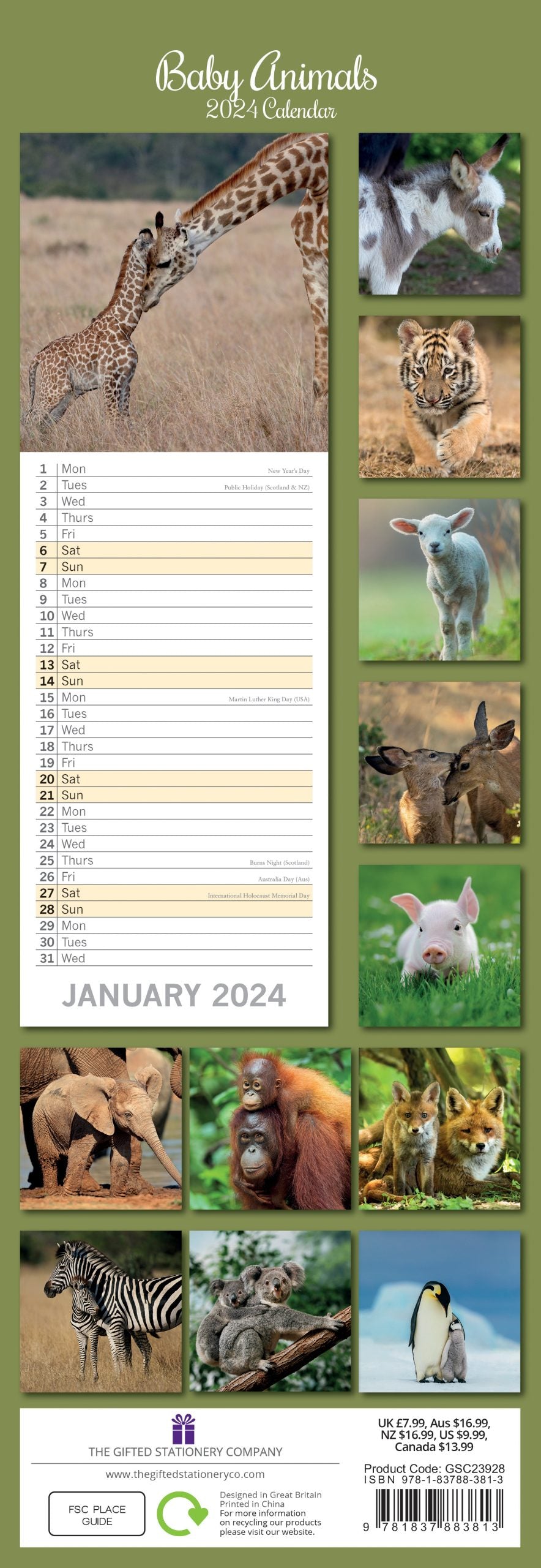 Baby Animals - 2024 Slimline Slim Wall Calendar Hanging Planner New Year Gift