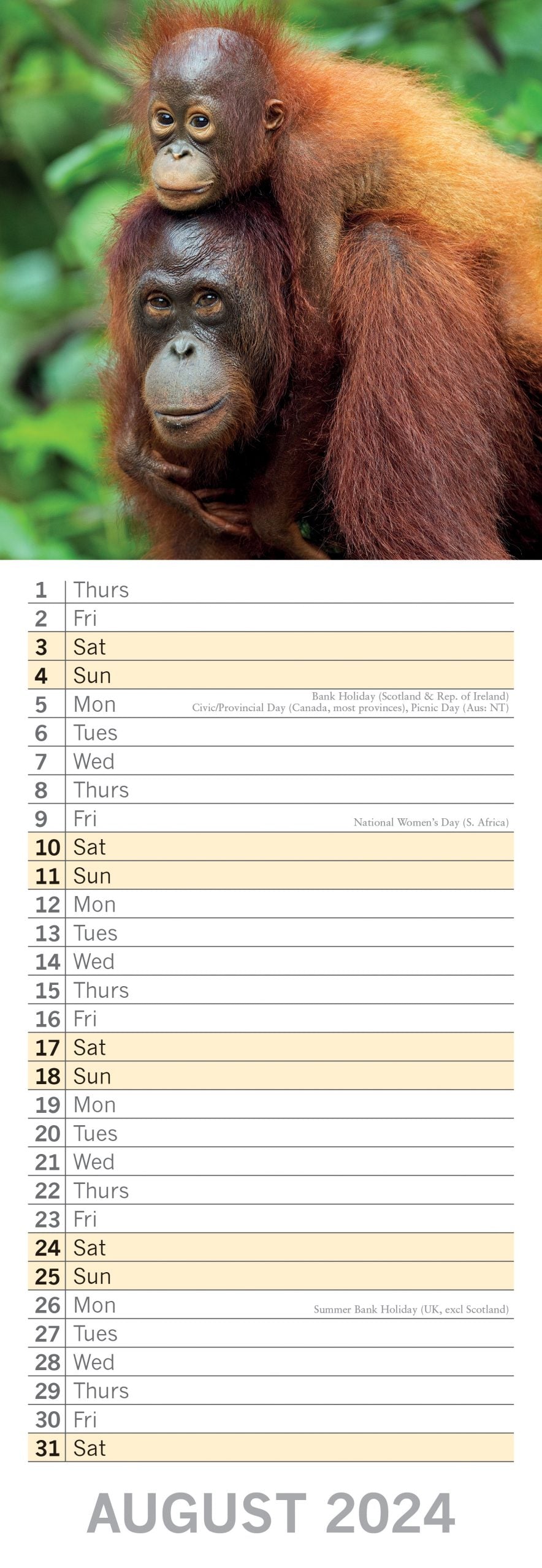 Baby Animals - 2024 Slimline Slim Wall Calendar Hanging Planner New Year Gift
