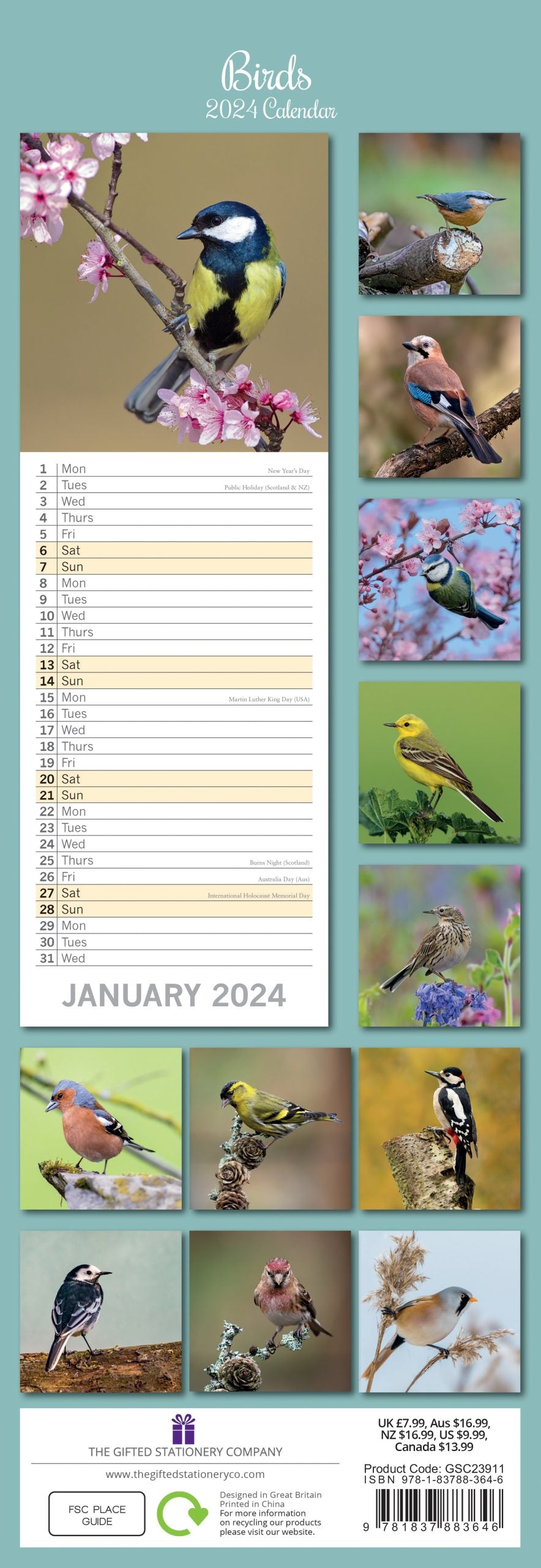 Birds - 2024 Slimline Slim Wall Calendar Hanging Planner New Year Gift