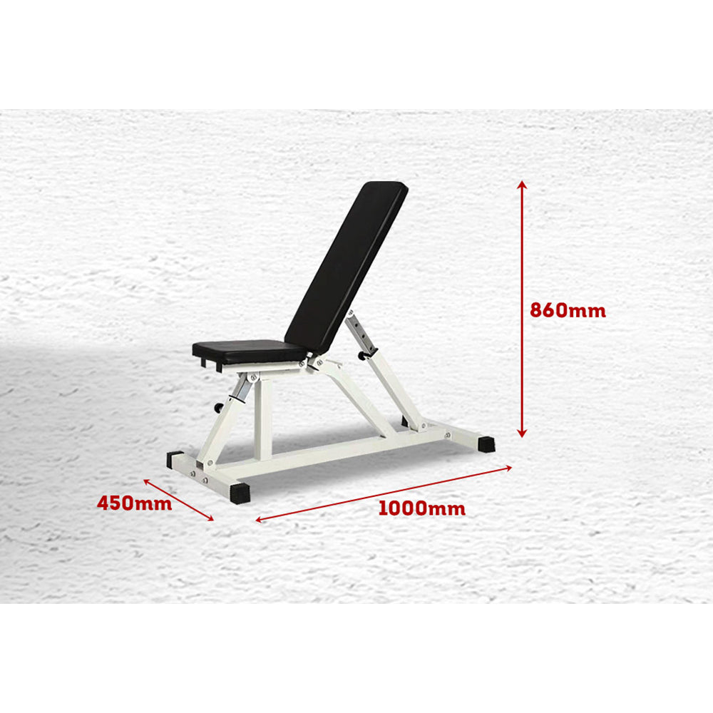 RBT206 Weight FID Bench Fitness Flat Incline Gym Equipment