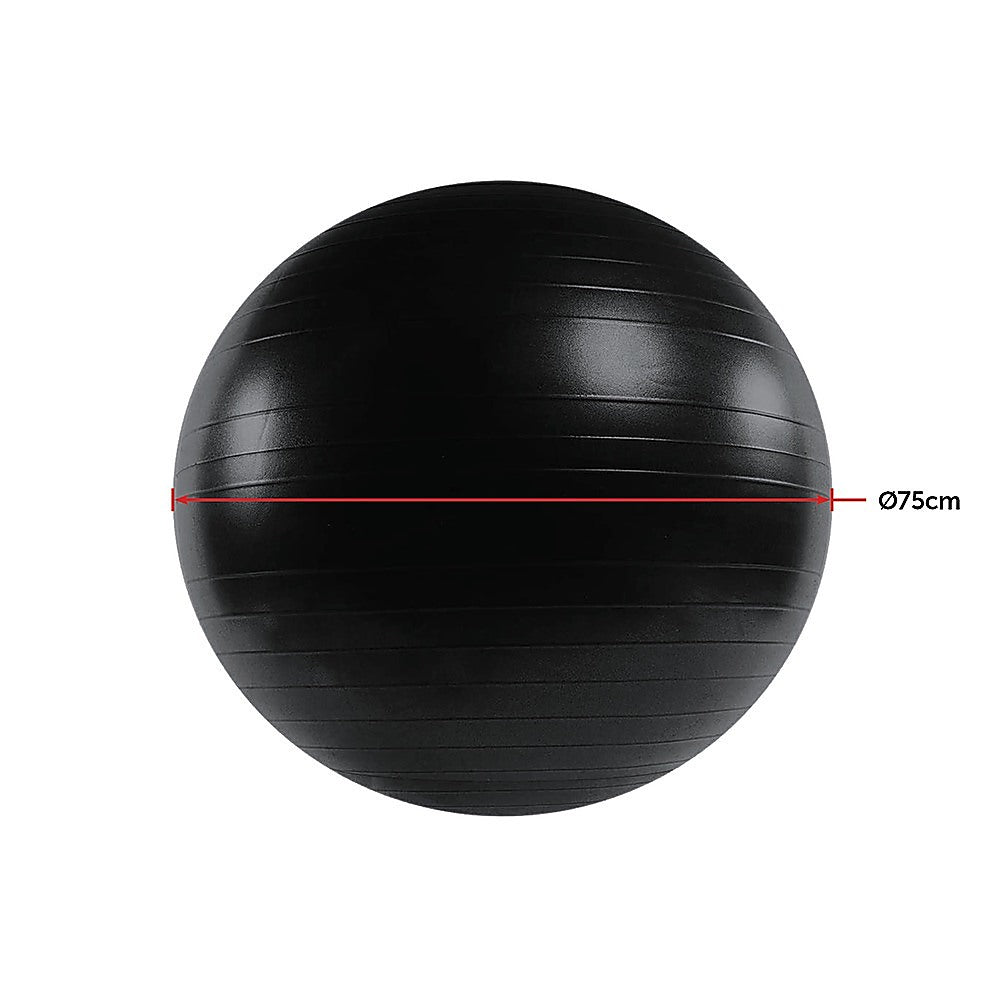 75cm Static Strength Exercise Stability Ball with Pump